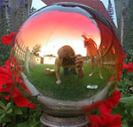 mirrors